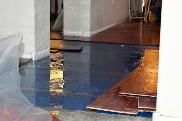 Professional Basement Flood Cleanup technician working in Winfield, IN